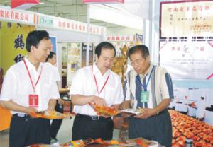 原安陽(yáng)市市長(zhǎng)董永安、副市長(zhǎng)陳明今到公司調(diào)研