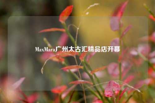 MaxMara广州太古汇精品店开幕