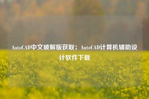AutoCAD中文破解版获取；AutoCAD计算机辅助设计软件下载