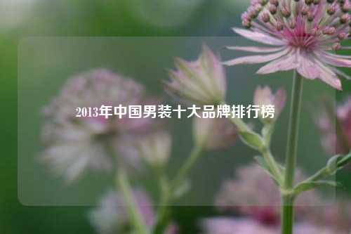 2013年中国男装十大品牌排行榜