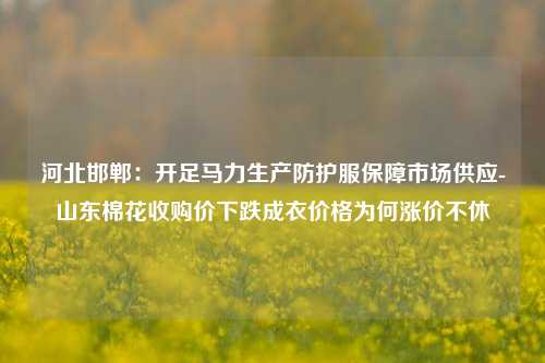 河北邯郸：开足马力生产防护服保障市场供应-山东棉花收购价下跌成衣价格为何涨价不休